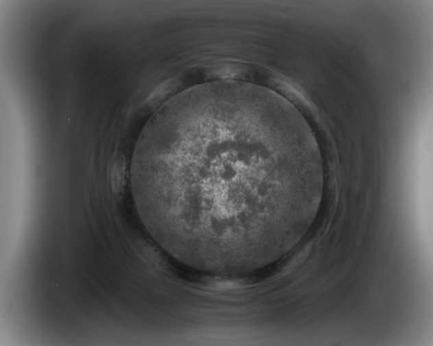 X0000086760073200704201753