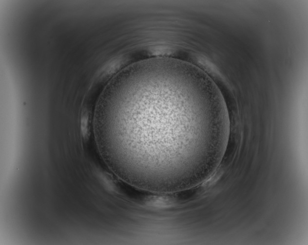 X0000086760074200704201753