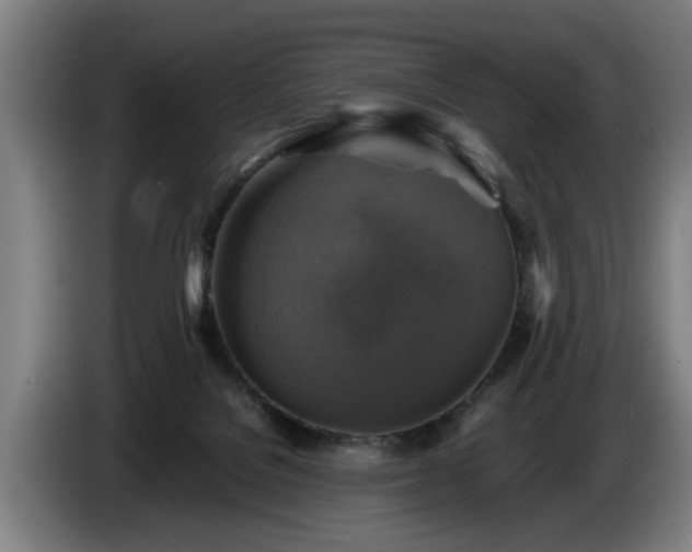 X0000086760076200704201753