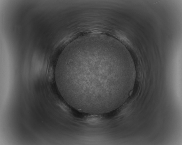 X0000086760077200704201753