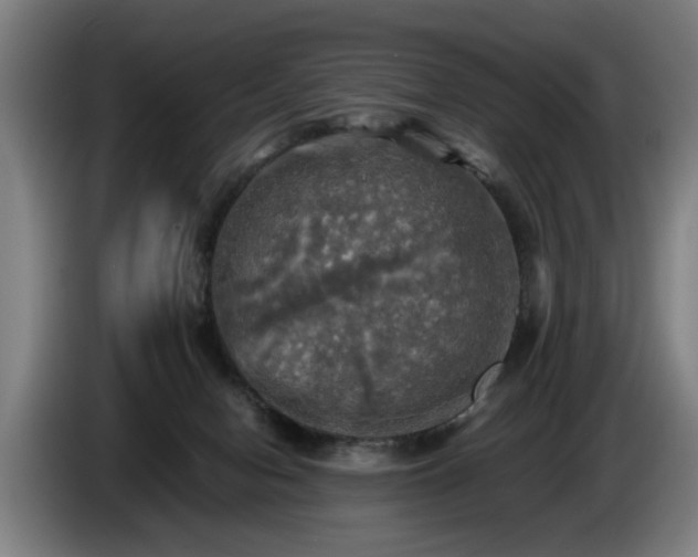 X0000086760078200704201753