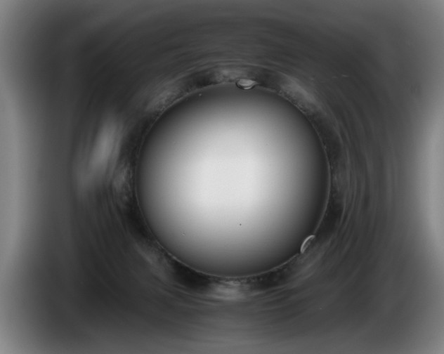 X0000086760079200704201753