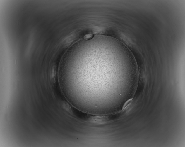 X0000086760082200704201753