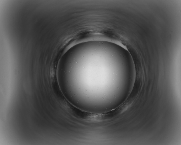 X0000086760084200704201753