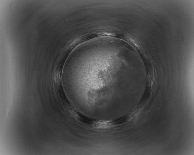 X0000086760093200704201753