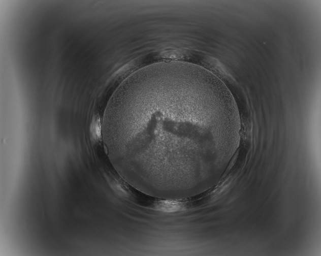 X0000086760095200704201753