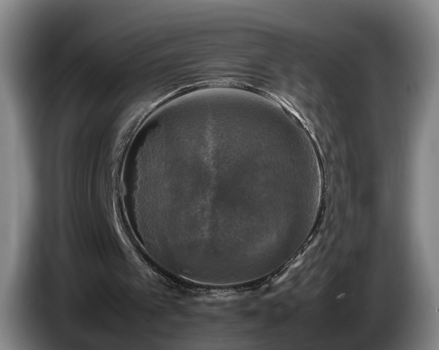 X0000086760097200704201753