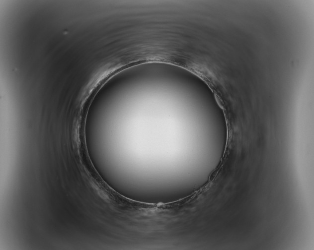 X0000086760098200704201753