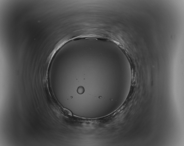 X0000086760099200704201753