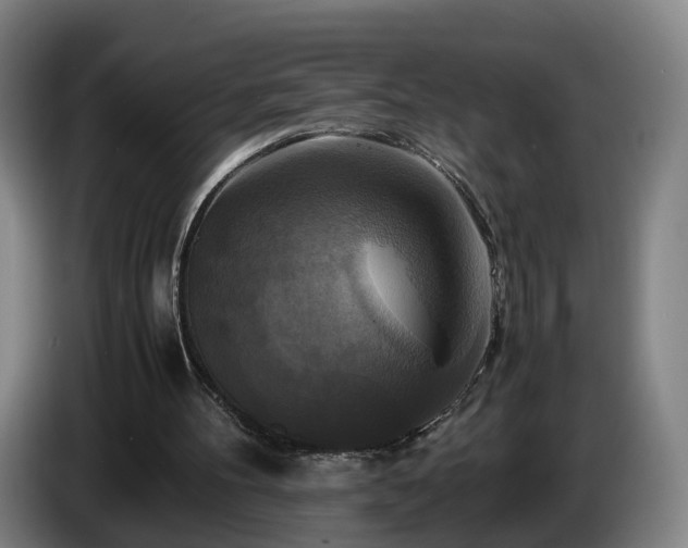 X0000086760100200704201753