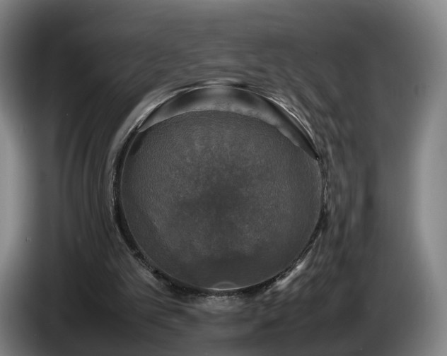 X0000086760101200704201753