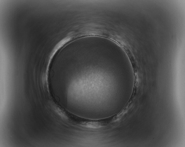 X0000086760104200704201753