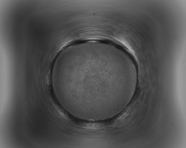 X0000086760105200704201753