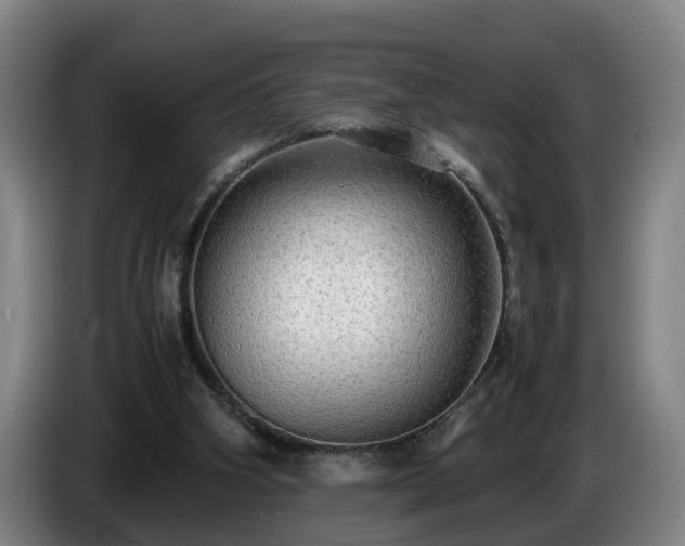 X0000086760106200704201753