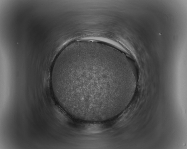 X0000086760107200704201753