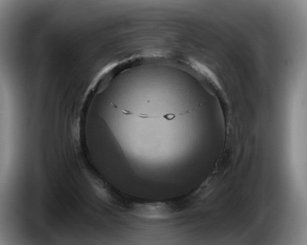 X0000086760108200704201753