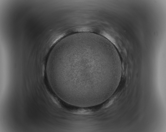 X0000086760109200704201753