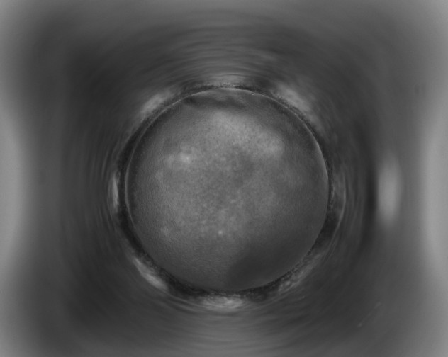 X0000086760110200704201753