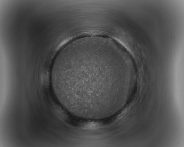 X0000086760111200704201753