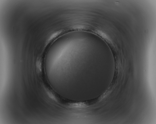 X0000086760112200704201753