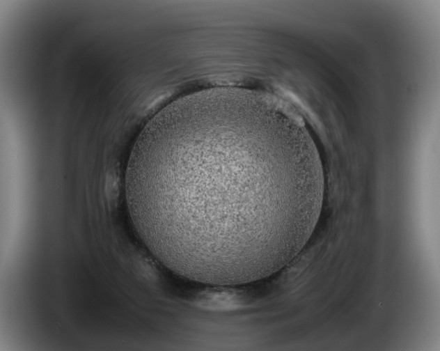 X0000086760113200704201753