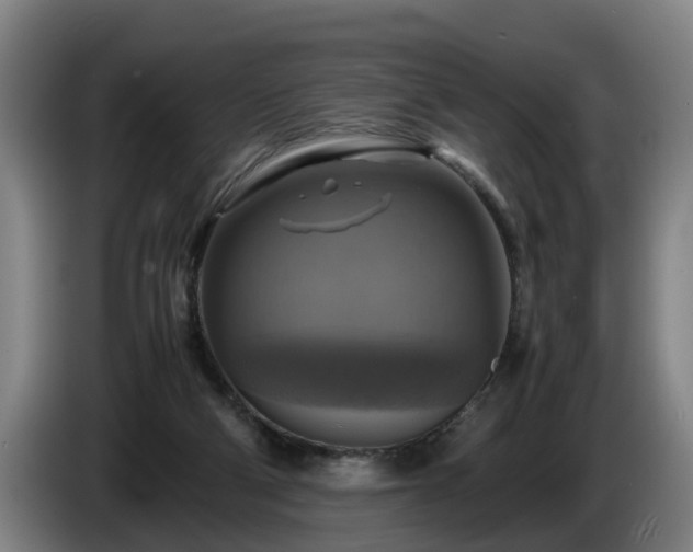 X0000086760114200704201753