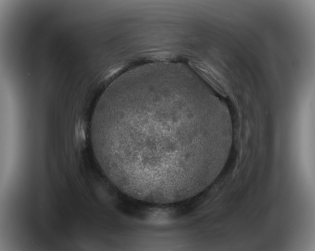 X0000086760115200704201753