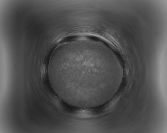 X0000086760117200704201753