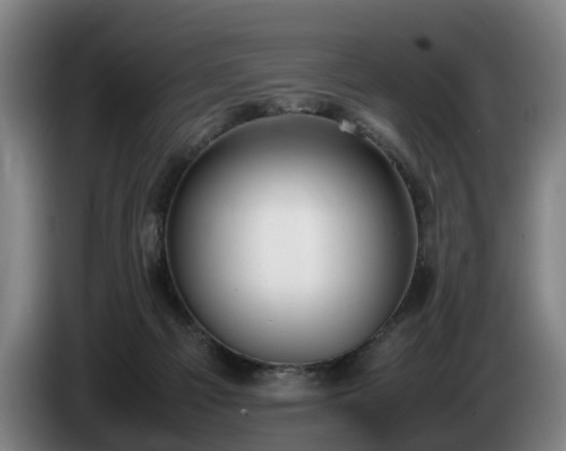 X0000086760121200704201752