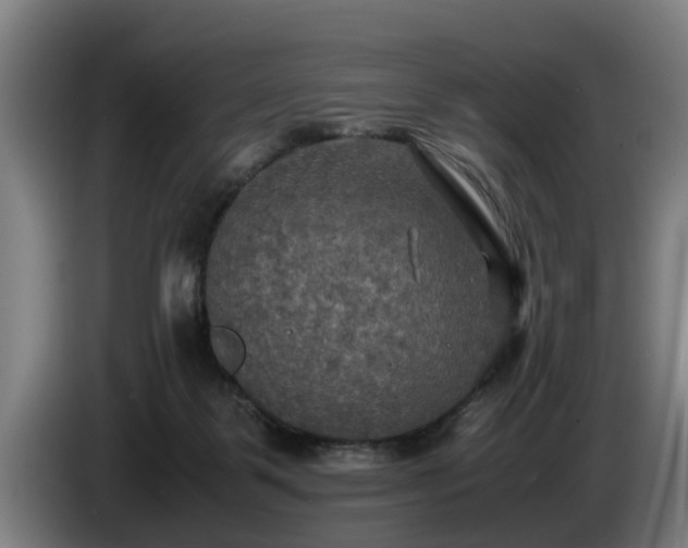 X0000086760123200704201752