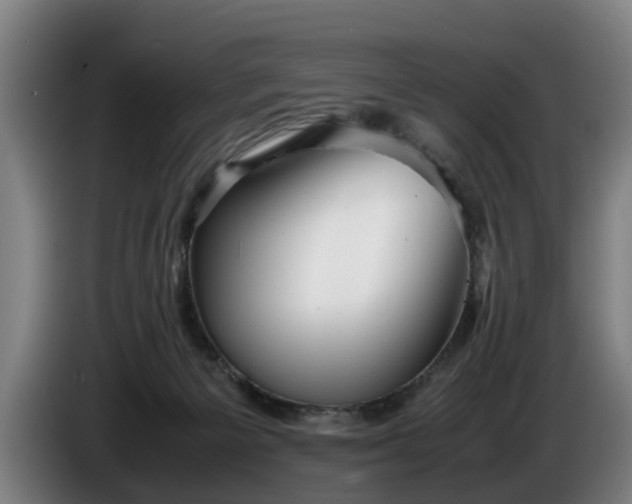 X0000086760125200704201752