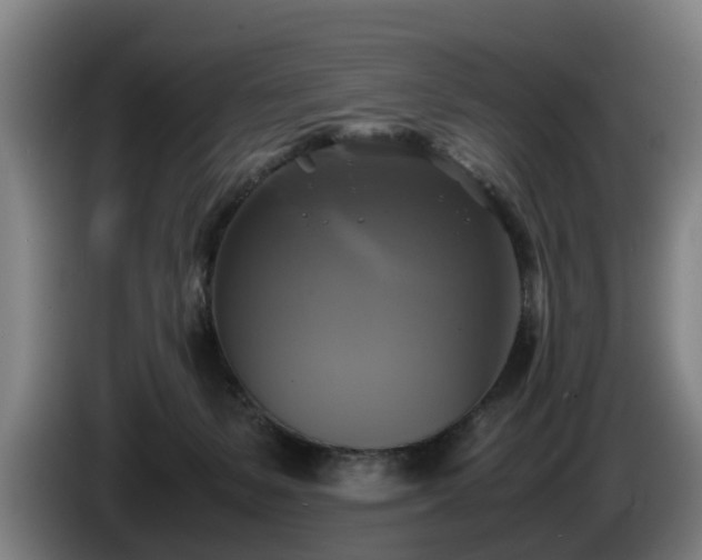 X0000086760127200704201752