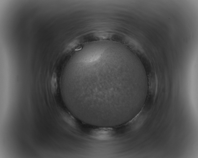 X0000086760128200704201752