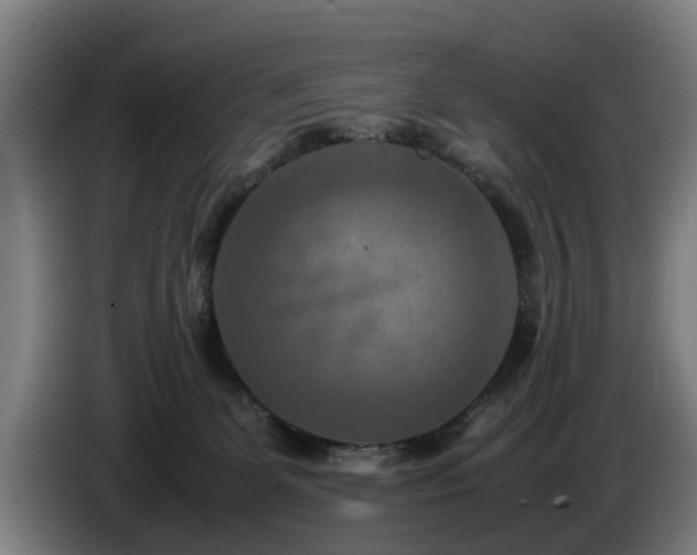 X0000086760131200704201752