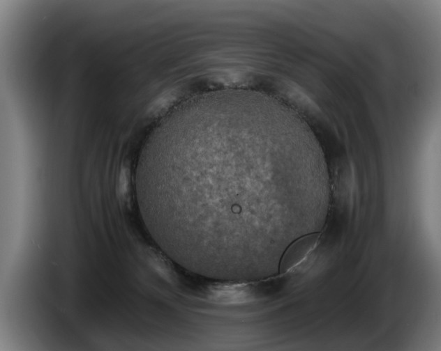 X0000086760132200704201752