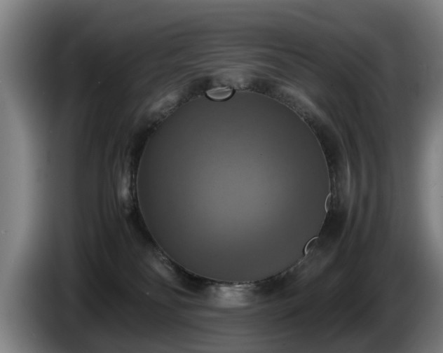 X0000086760134200704201752