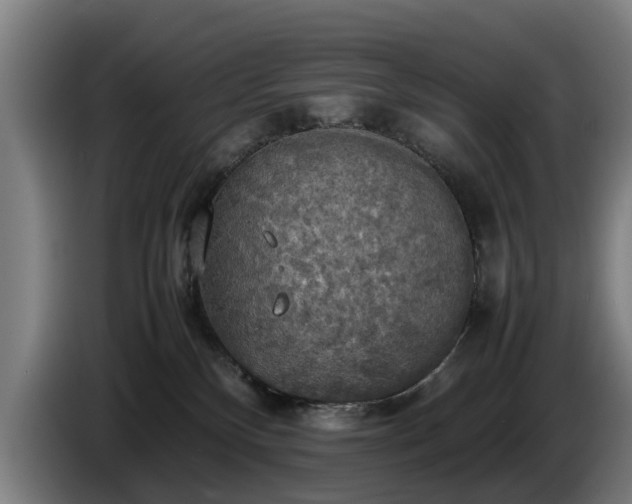 X0000086760136200704201752