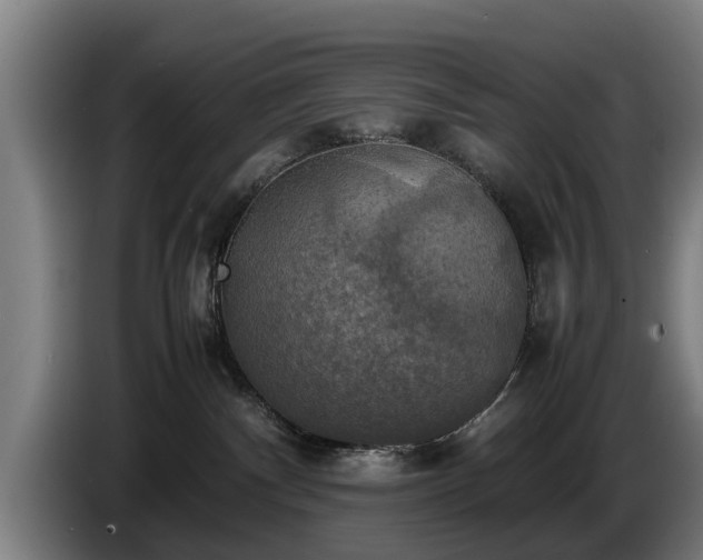 X0000086760140200704201752