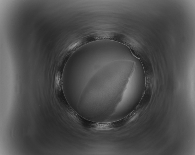 X0000086760143200704201752