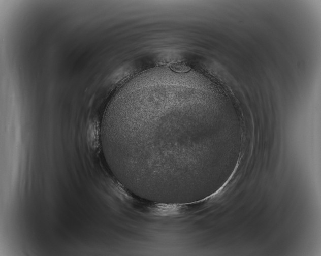 X0000086760144200704201752