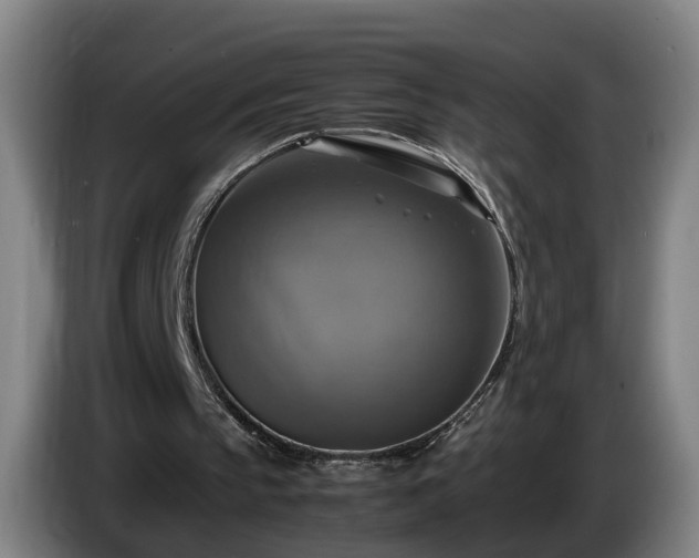 X0000086760145200704201752