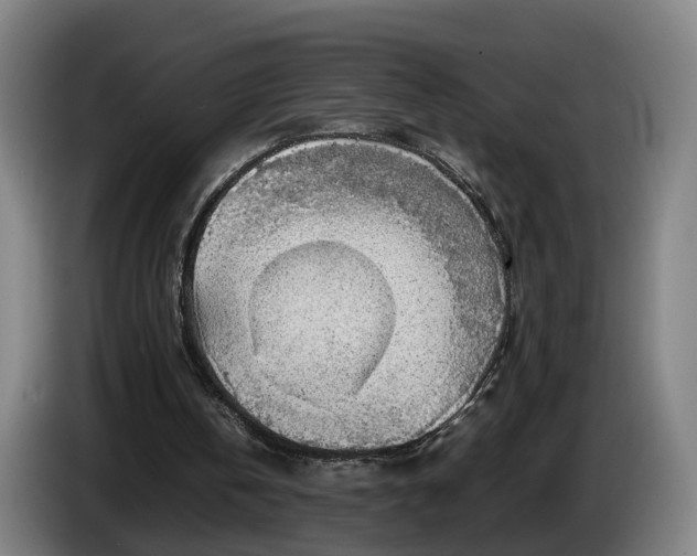 X0000086760146200704201752