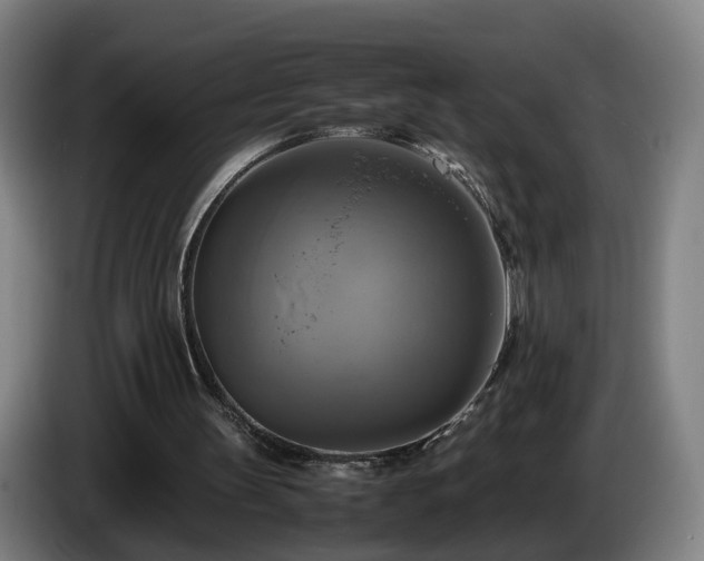 X0000086760147200704201752