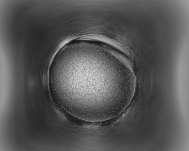 X0000086760148200704201752