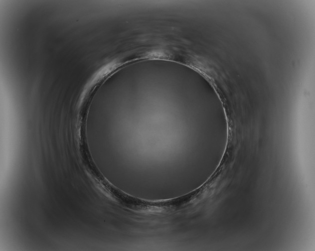 X0000086760149200704201752