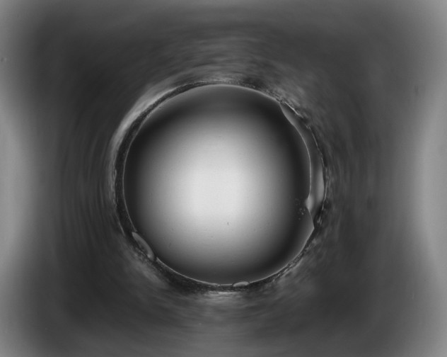 X0000086760150200704201752