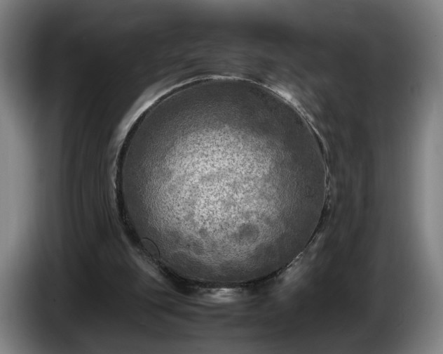 X0000086760151200704201752