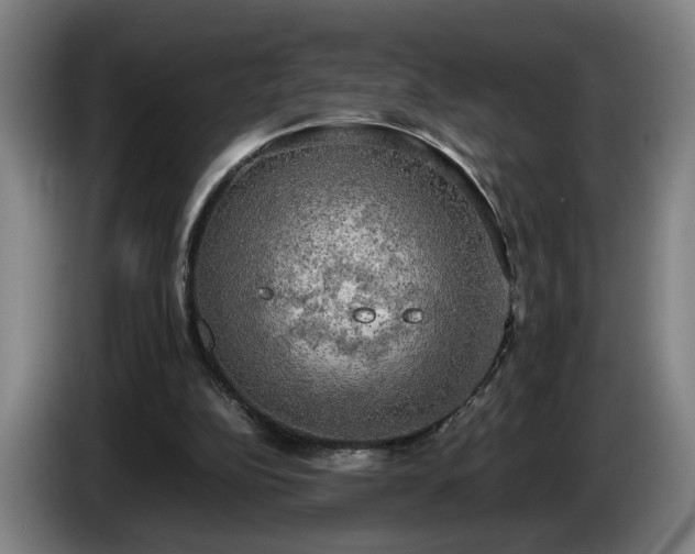 X0000086760152200704201752