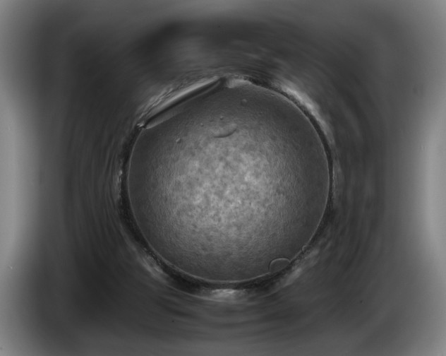 X0000086760153200704201752