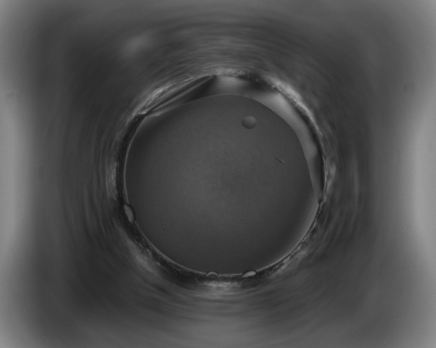 X0000086760154200704201752